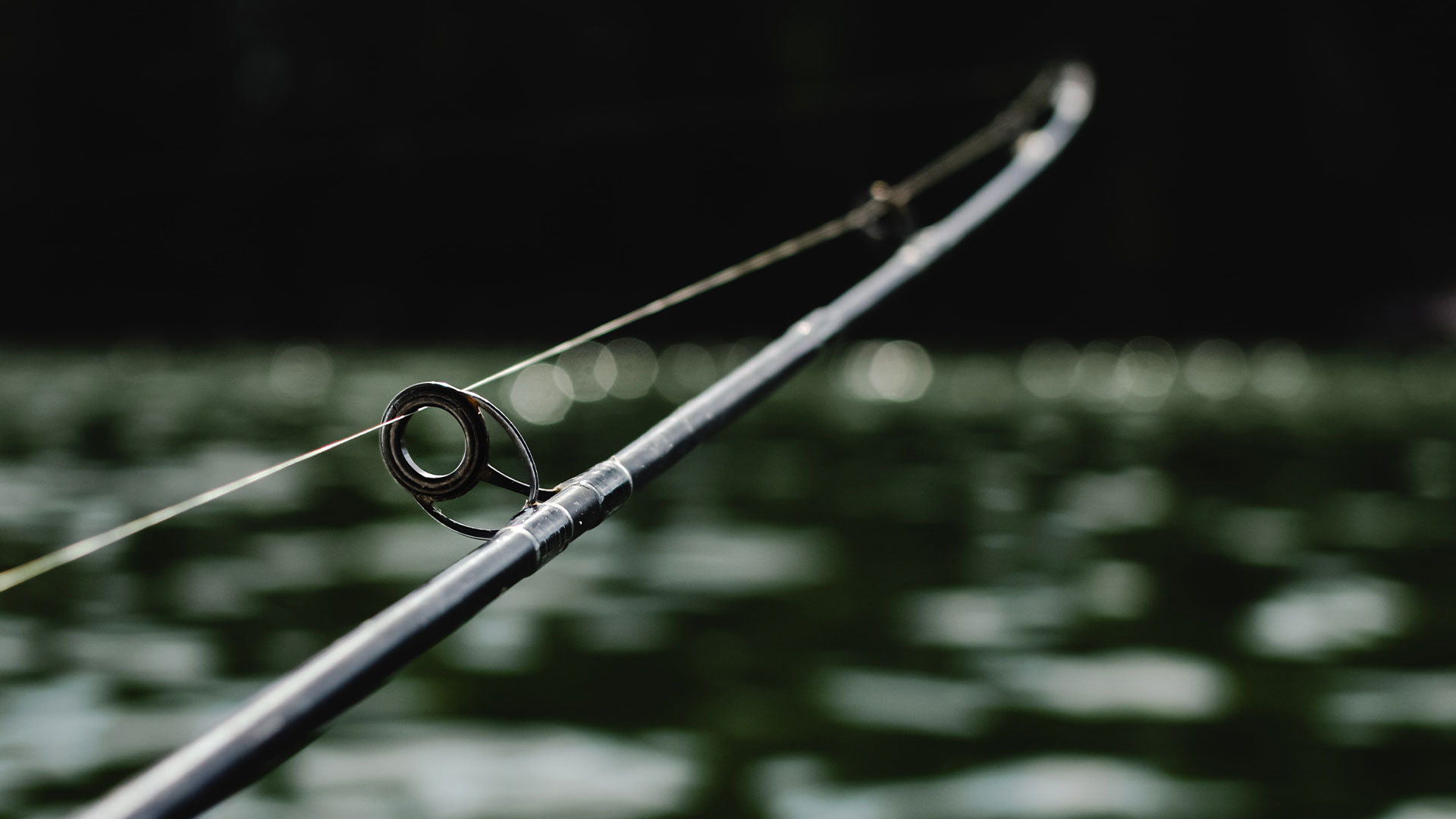 Local community of Anglers, shot of a fishing rod over the water